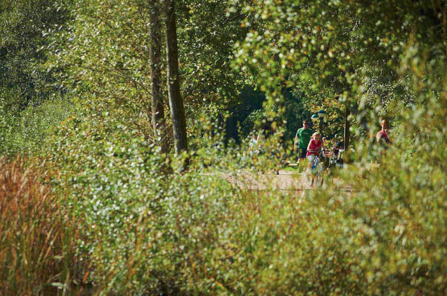 Image of a family cycling in the countryside
